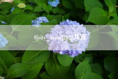江苏2022九宫
