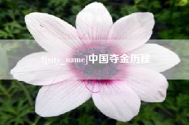江苏中国夺金历程