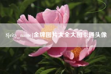 江苏金牌图片大全大图卡通头像