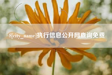 江苏执行信息公开网查询免费