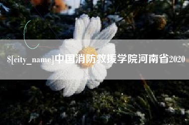 江苏中国消防救援学院河南省2020
